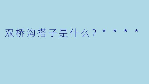 双桥沟搭子是什么?****