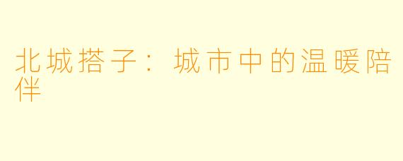 北城搭子：城市中的温暖陪伴