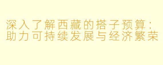 深入了解西藏的搭子预算：助力可持续发展与经济繁荣