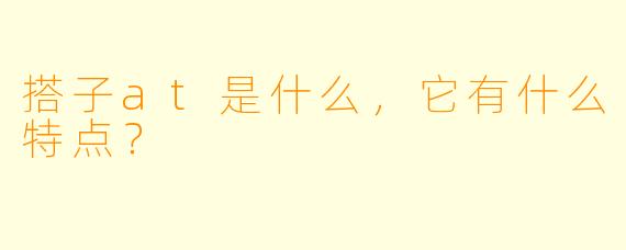 搭子at是什么,它有什么特点?