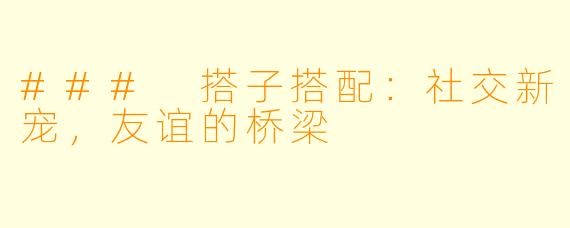 ### 搭子搭配：社交新宠，友谊的桥梁