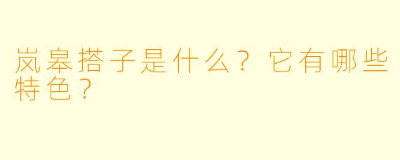 岚皋搭子是什么?它有哪些特色?