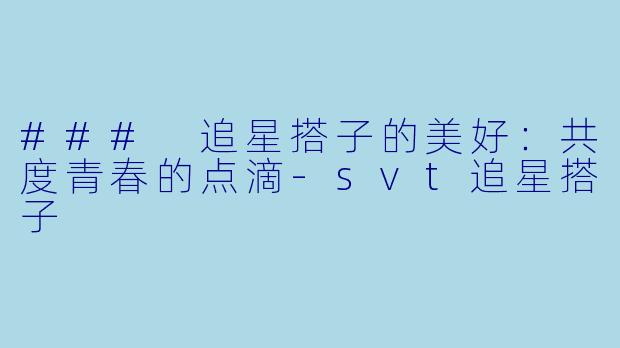 ### 追星搭子的美好：共度青春的点滴-svt追星搭子