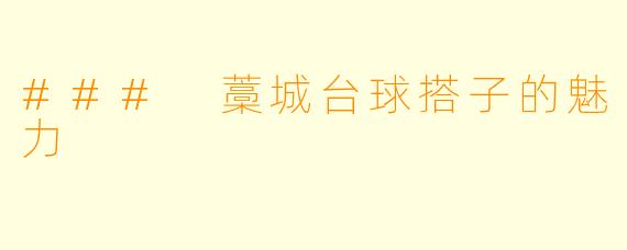 ### 藁城台球搭子的魅力