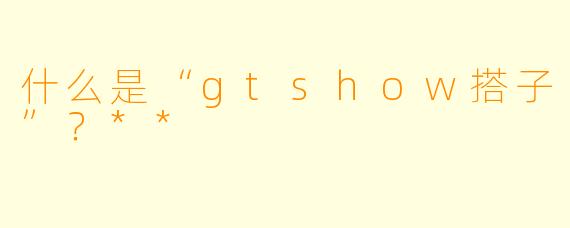 什么是“gtshow搭子”？**