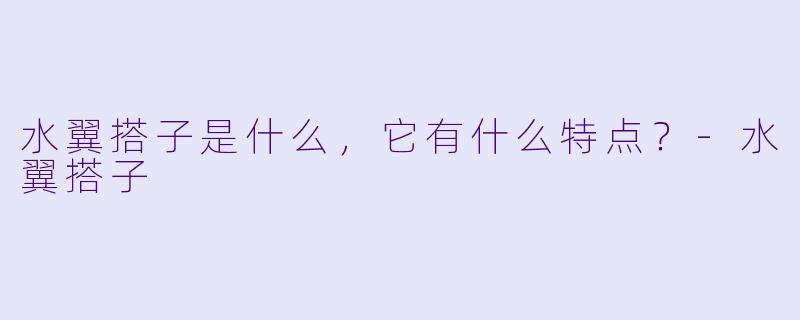 水翼搭子是什么,它有什么特点?