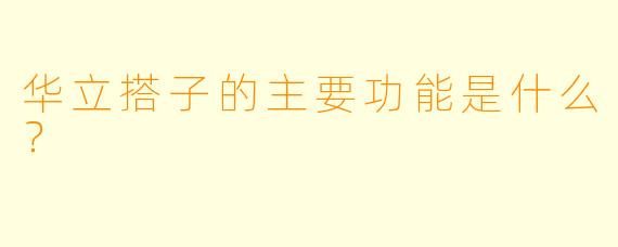 华立搭子的主要功能是什么？