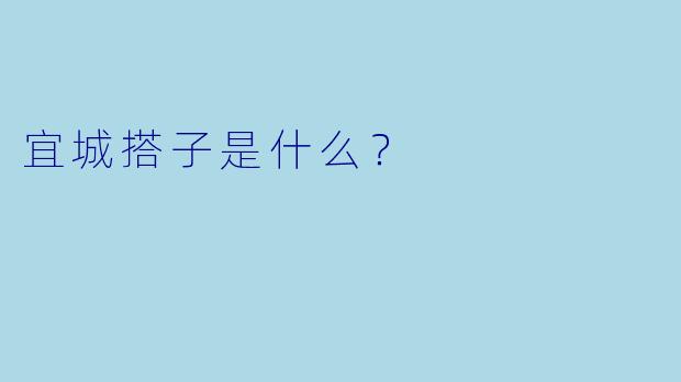 宜城搭子是什么？  