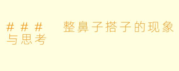 ### 整鼻子搭子的现象与思考