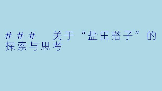 ### 关于“盐田搭子”的探索与思考