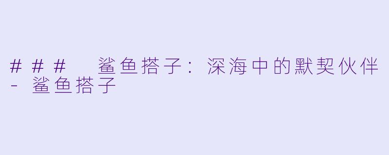 ### 鲨鱼搭子：深海中的默契伙伴-鲨鱼搭子