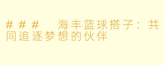 ### 海丰篮球搭子：共同追逐梦想的伙伴