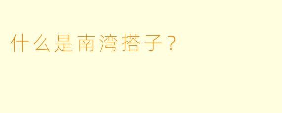 什么是南湾搭子？