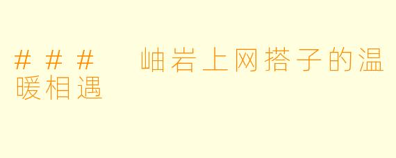 ### 岫岩上网搭子的温暖相遇