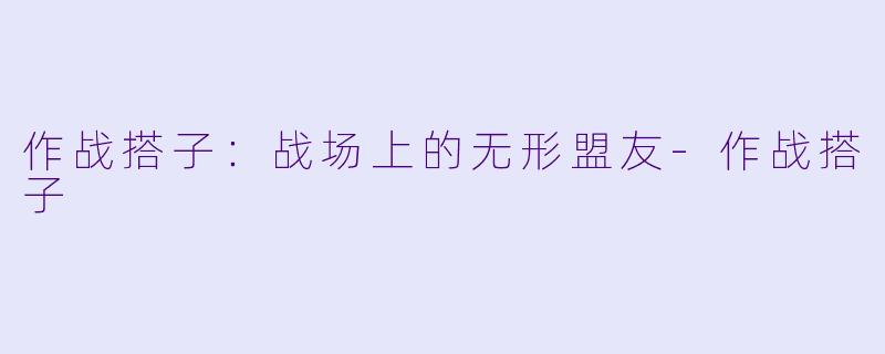 作战搭子：战场上的无形盟友-作战搭子