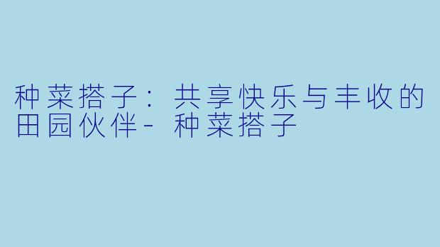 种菜搭子：共享快乐与丰收的田园伙伴-种菜搭子