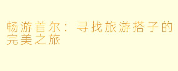 畅游首尔：寻找旅游搭子的完美之旅