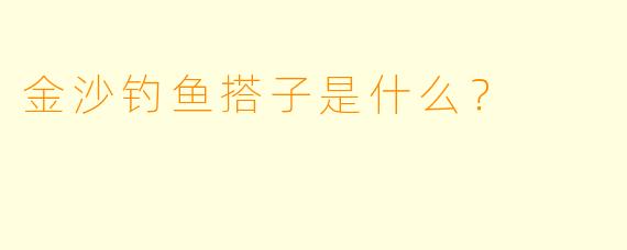 金沙钓鱼搭子是什么？  