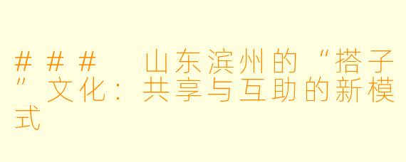 ### 山东滨州的“搭子”文化：共享与互助的新模式