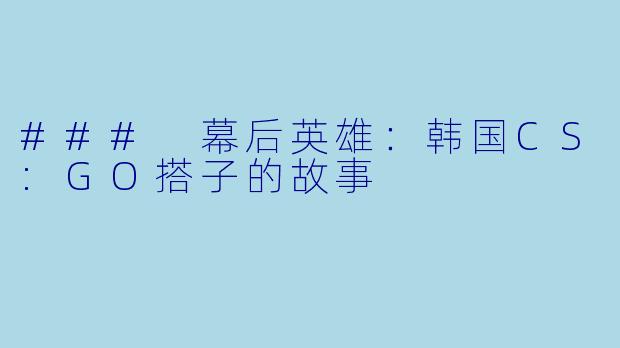 ### 幕后英雄：韩国CS:GO搭子的故事