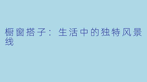 橱窗搭子：生活中的独特风景线