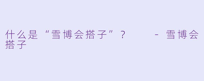 什么是“雪博会搭子”？  