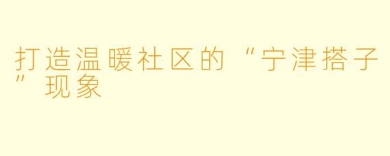 打造温暖社区的“宁津搭子”现象