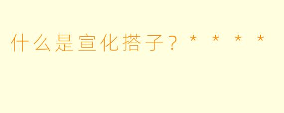 什么是宣化搭子？****
