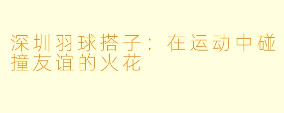 深圳羽球搭子：在运动中碰撞友谊的火花