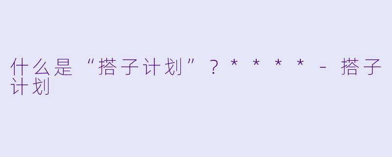 什么是“搭子计划”？****