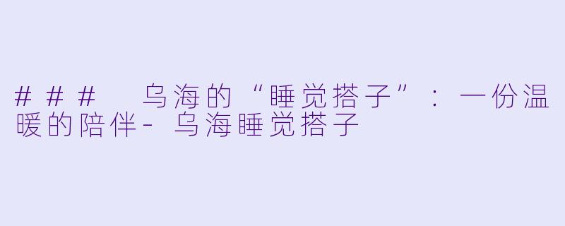 ### 乌海的“睡觉搭子”：一份温暖的陪伴-乌海睡觉搭子