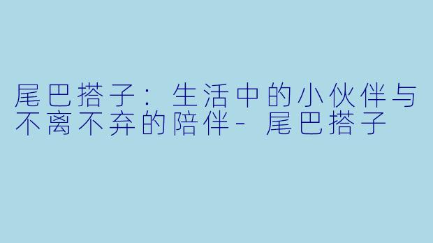 尾巴搭子：生活中的小伙伴与不离不弃的陪伴-尾巴搭子