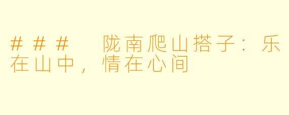 ### 陇南爬山搭子：乐在山中，情在心间