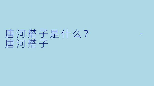 唐河搭子是什么？    