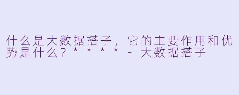 什么是大数据搭子,它的主要作用和优势是什么?****