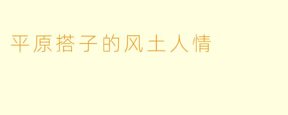 平原搭子的风土人情