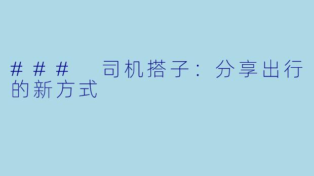 ### 司机搭子:分享出行的新方式
