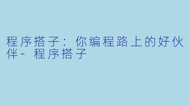 程序搭子：你编程路上的好伙伴-程序搭子