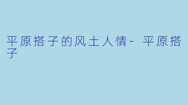 平原搭子的风土人情