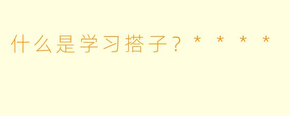 什么是学习搭子？****