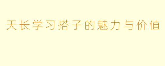 天长学习搭子的魅力与价值