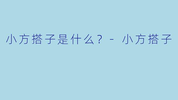 小方搭子是什么？