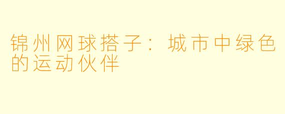 锦州网球搭子:城市中绿色的运动伙伴