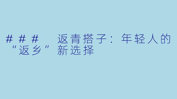 ### 返青搭子：年轻人的“返乡”新选择