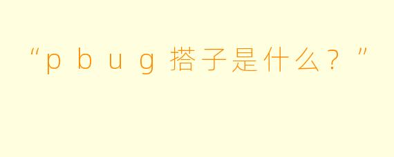 “pbug搭子是什么？”  