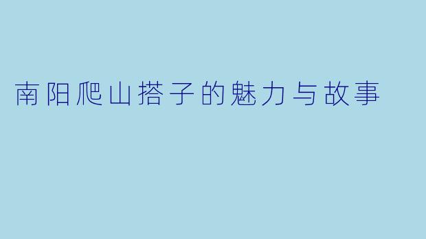 南阳爬山搭子的魅力与故事