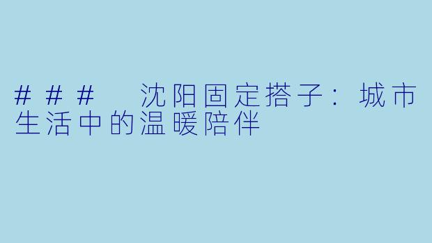 ### 沈阳固定搭子：城市生活中的温暖陪伴