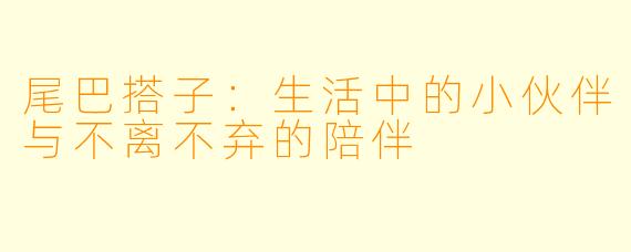 尾巴搭子:生活中的小伙伴与不离不弃的陪伴