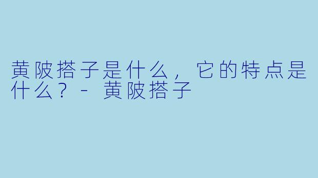 黄陂搭子是什么,它的特点是什么?