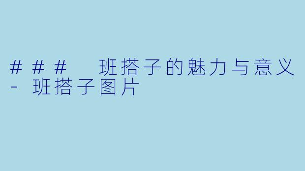 ### 班搭子的魅力与意义-班搭子图片